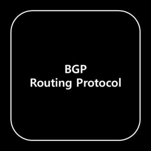 BGP Routing Protocol