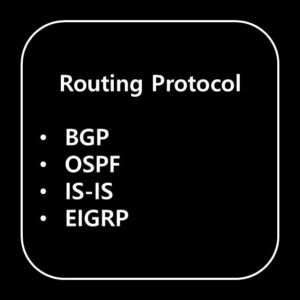 BGP and OSPF Routing Protocol